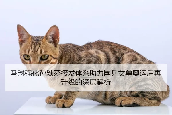 马琳强化孙颖莎接发体系助力国乒女单奥运后再升级的深层解析