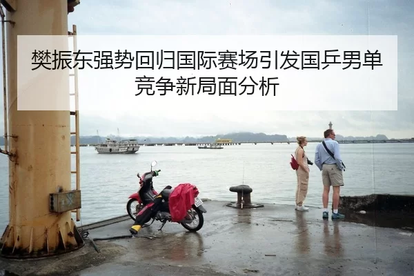 樊振东强势回归国际赛场引发国乒男单竞争新局面分析