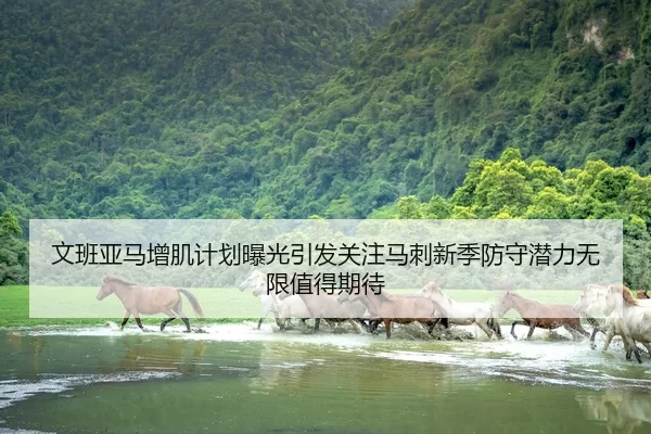 文班亚马增肌计划曝光引发关注马刺新季防守潜力无限值得期待