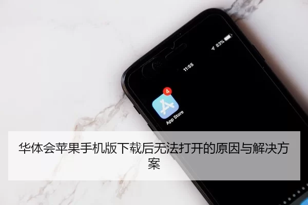 华体会苹果手机版下载后无法打开的原因与解决方案
