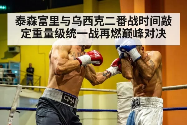 heavyweight boxing match