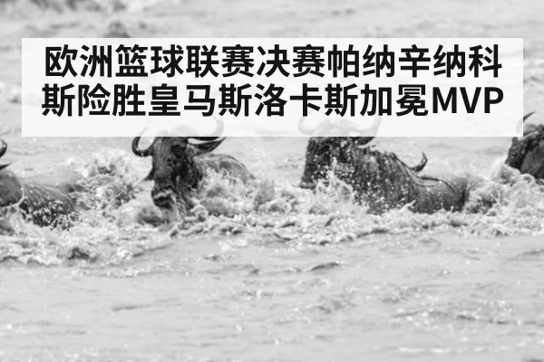 欧洲篮球联赛决赛帕纳辛纳科斯险胜皇马斯洛卡斯加冕MVP